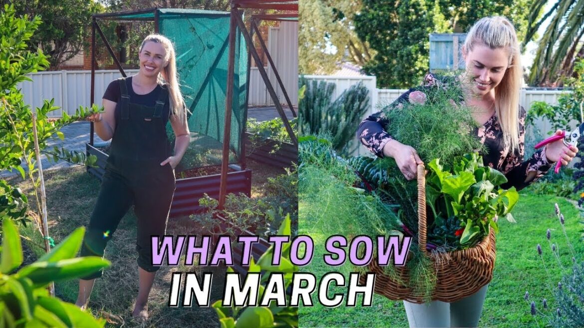 10 Edible Plants to Sow in March // Autumn Plants to Grow // Sustainable Living Journey to Grow Food