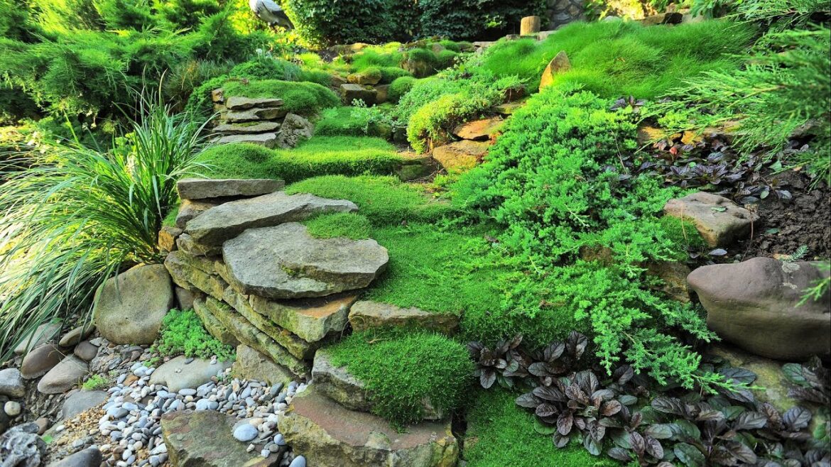 Landscaping Ideas 2023 | Stones in the garden! Rock garden, alpine slide ideas