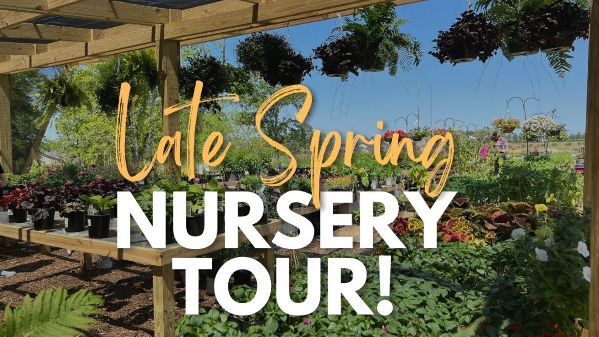 Late Spring Plant Nursery Tour | Grass Roots Yard Supply #plantnurserytour