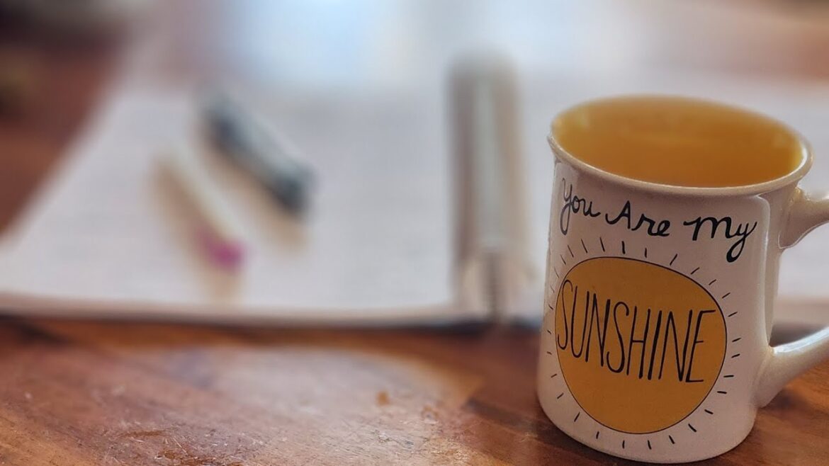 Starting Seeds / The process I use to begin garden plans