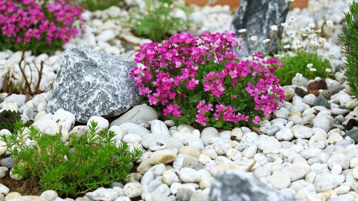 π΄π‘ π’ Landscape Design Ideas. Alpine Garden and Rock Garden Decoration Ideas π΄π‘ π’ Landscape Design Ideas. Alpine Garden and Rock Garden Decoration Ideas
