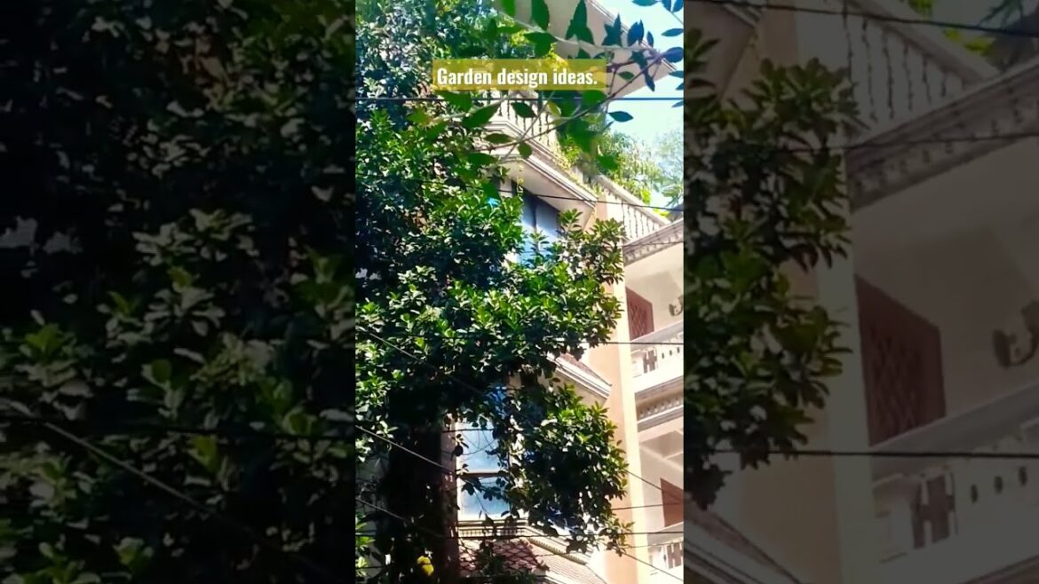 Garden design ideas. House plant. Designers idea. #viral #shorts #short #video #subscribe Garden design ideas. House plant. Designers idea. #viral #shorts #short #video #subscribe