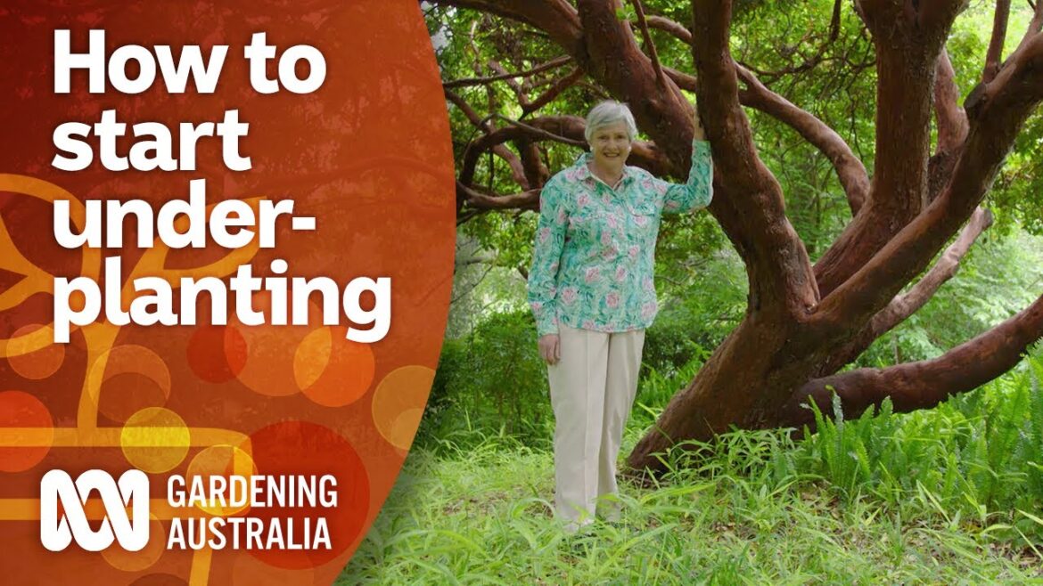How to start underplanting in your garden | Garden Design and Inspiration | Gardening Australia