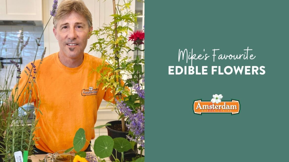 Mike's Favourite Edible Flowers