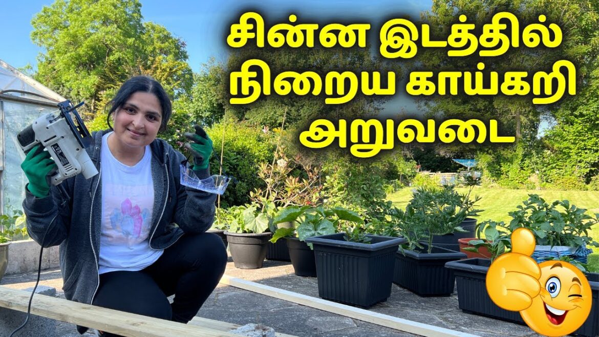 Build Easy Raised Garden Bed / மேட்டுப்பாத்தி செய்ய  Easy Method - Vegetable Gardening ideas #garden