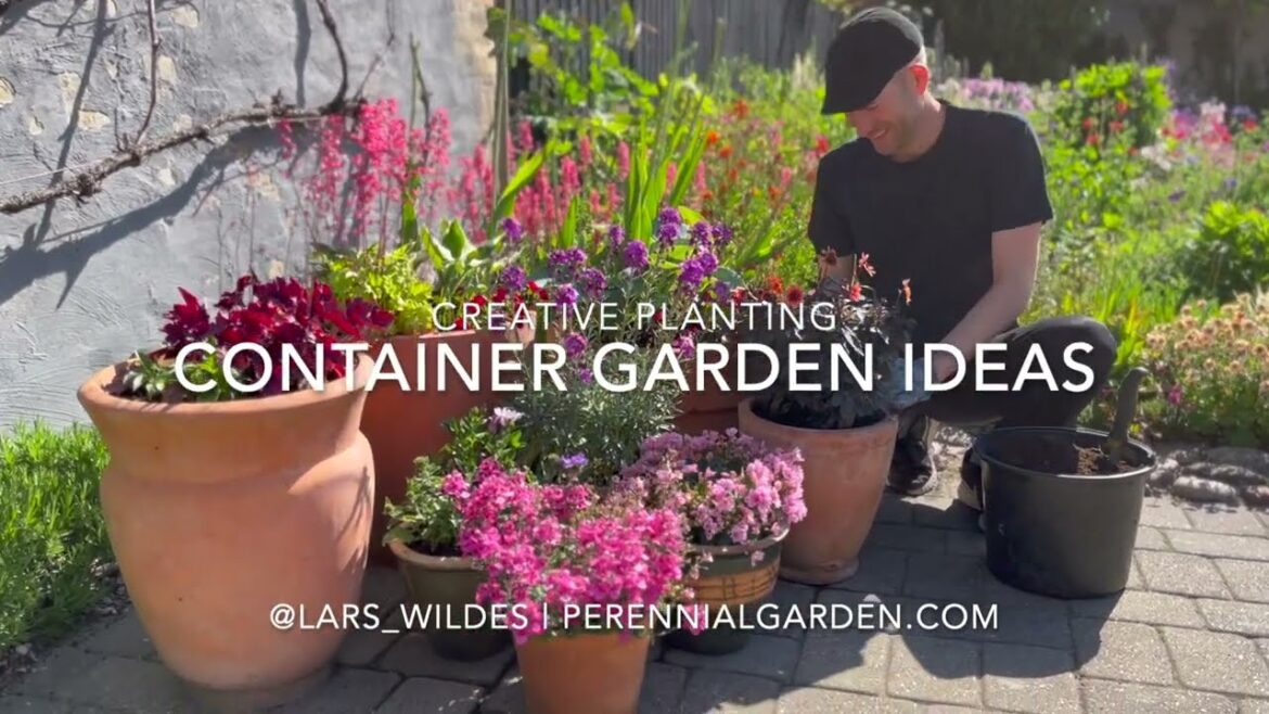 Gorgeous Plants for Containers and Pots | Perennial Garden