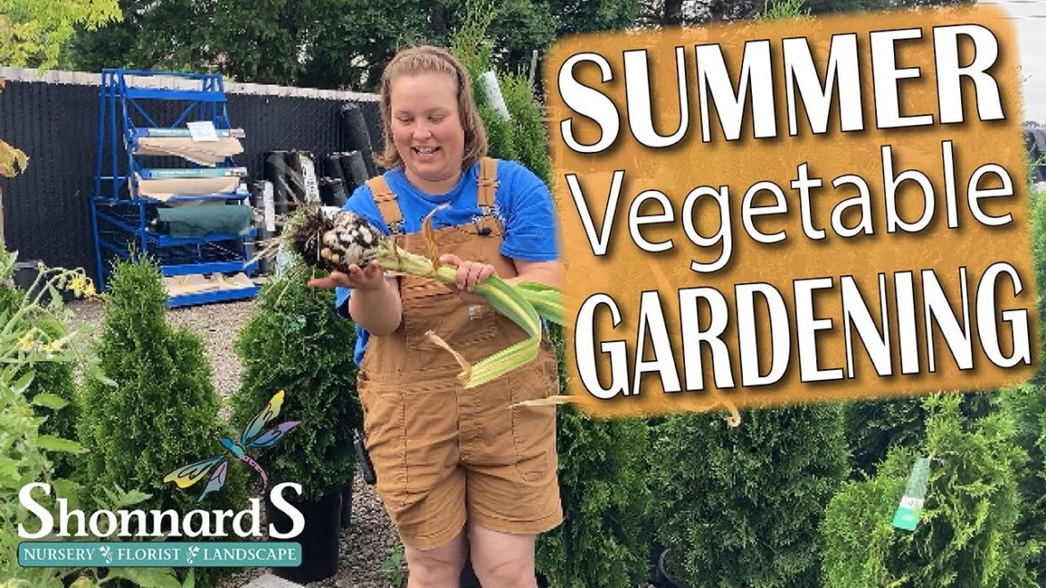 Summer Vegetable Gardening at Shonnard’s Nursery: What To Do Now for Growing Success! Summer Vegetable Gardening at Shonnard's Nursery: What To Do Now for Growing Success!