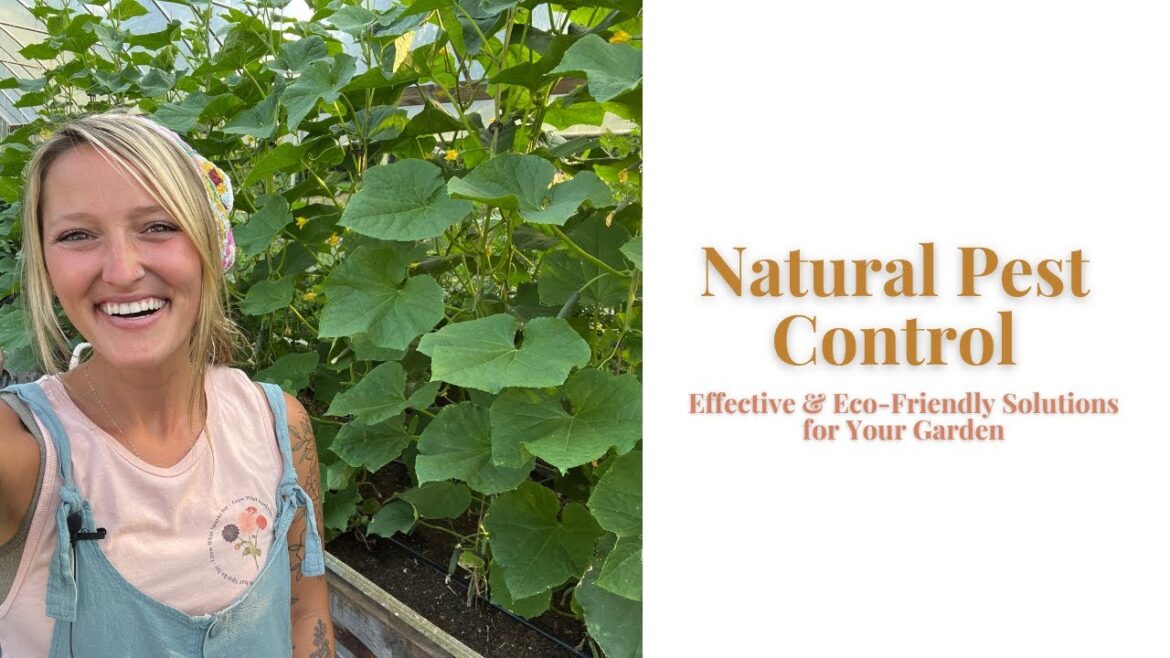 Natural Pest Control: Effective and Eco-Friendly Solutions for Your Garden