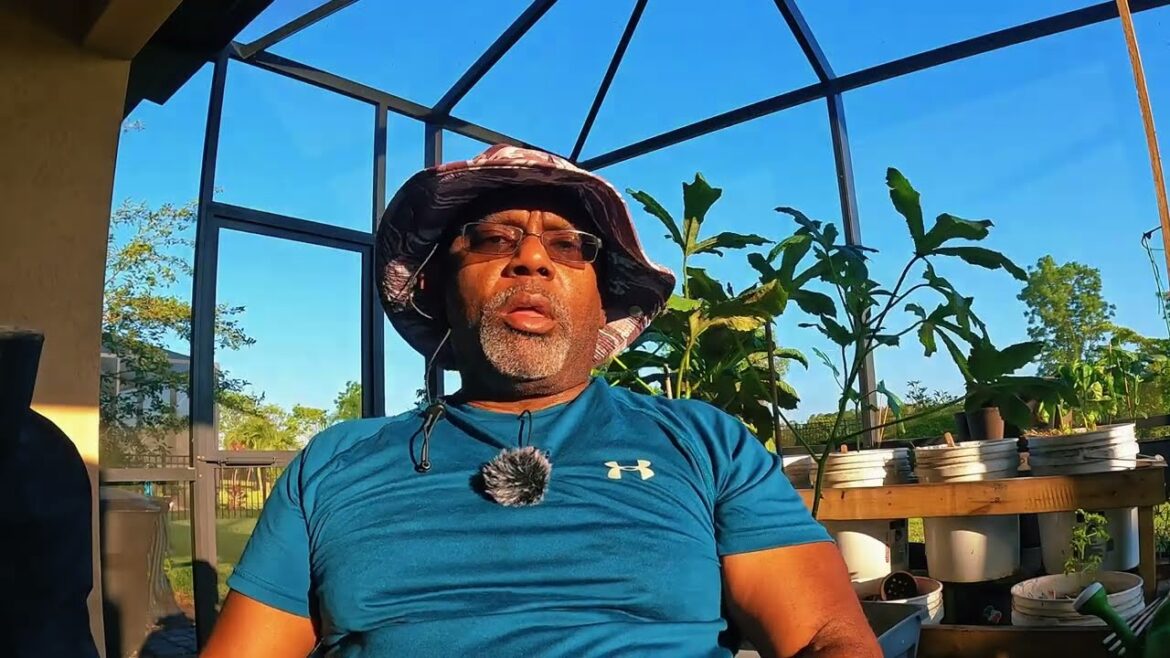 Succession Planting Part Two | Bell Peppers & Zucchini Succession Planting Part Two | Bell Peppers & Zucchini