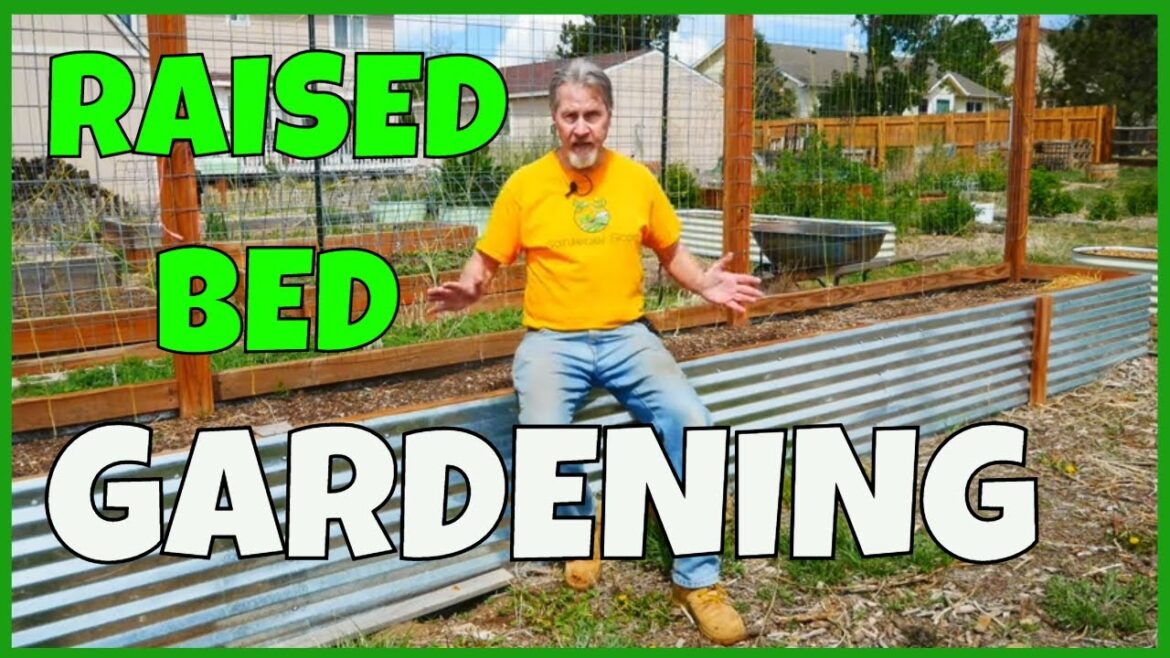 Raised Garden Bed Design