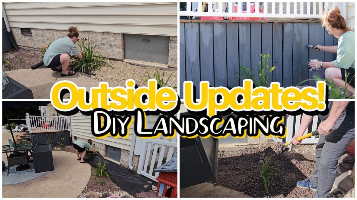 New! Summer Landscaping DIY on a Budget | Backyard Makeover Series
