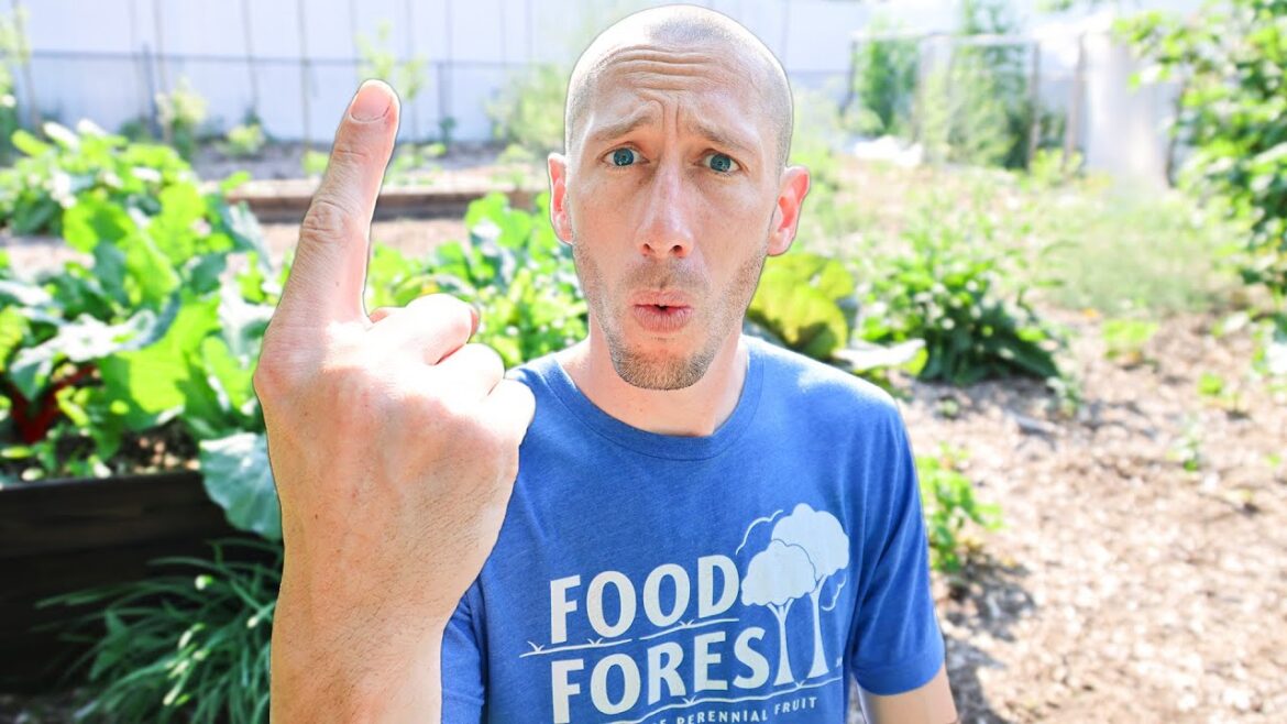James Prigioni: Doing This ONE THING Tricks Crops to NEVER Stop Producing in the Garden Doing This ONE THING Tricks Crops to NEVER Stop Producing in the Garden