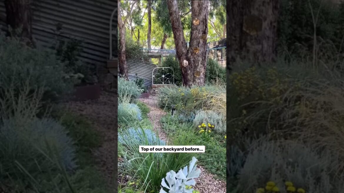 A garden makeover BEFORE & AFTER – Garden Design – Landscape Design – Gardening in Australia A garden makeover BEFORE & AFTER - Garden Design - Landscape Design - Gardening in Australia