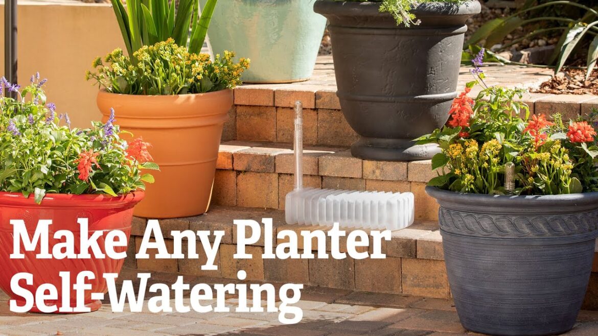 How To Make Any Planter Self-Watering ๐ฐ๐ฉโ๐พ Gardener’s Supply How To Make Any Planter Self-Watering ๐ฐ๐ฉโ๐พ Gardener's Supply