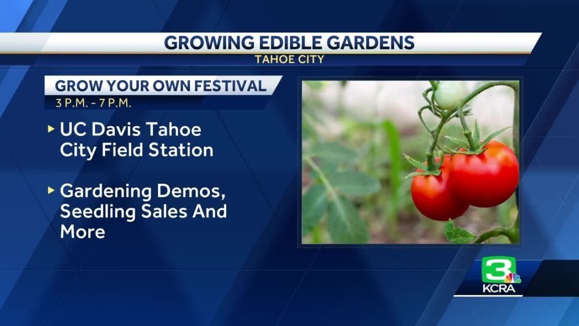 Grow Your Own Festival heads to Tahoe City