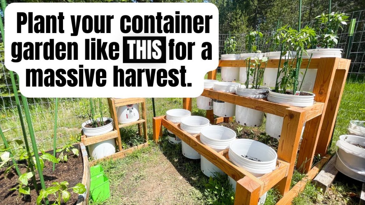 Pepper and Tomato PLANTING DAY | DIY Bucket Gardening Pepper and Tomato PLANTING DAY | DIY Bucket Gardening