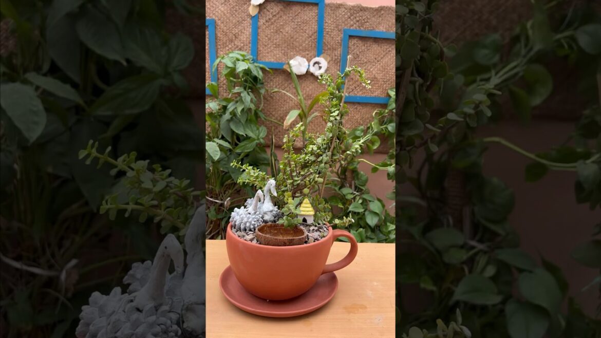 Easy miniature garden ideas