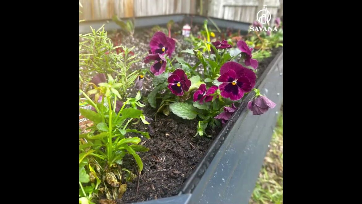 A Perfect Bed For Any Backyard Or Front Yard Garden