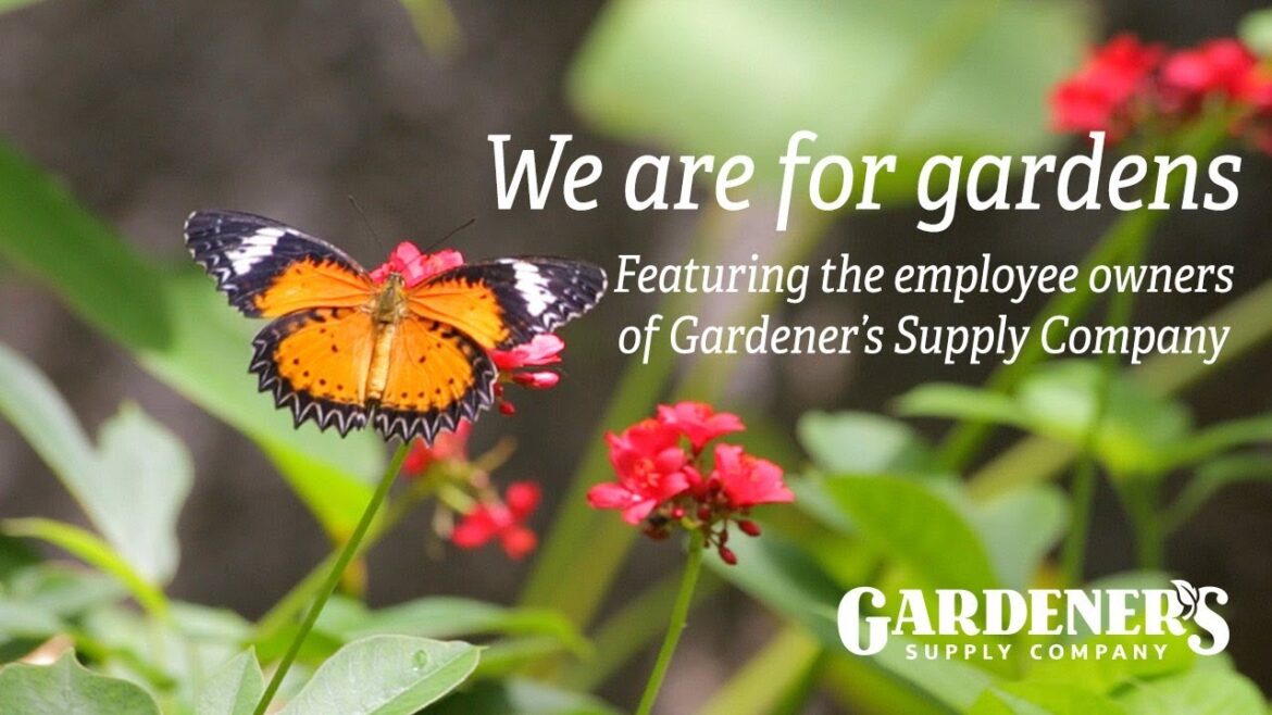 Who We Are? ๐ฉโ๐พ We are Gardener’s Supply ๐ฑ Who We Are? ๐ฉโ๐พ We are Gardener's Supply ๐ฑ