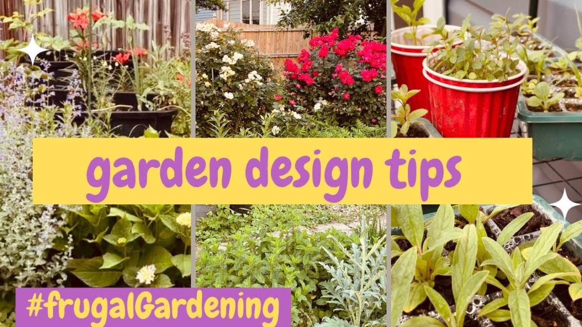 My Top Garden Design Tips for beginners | vlog Part 1