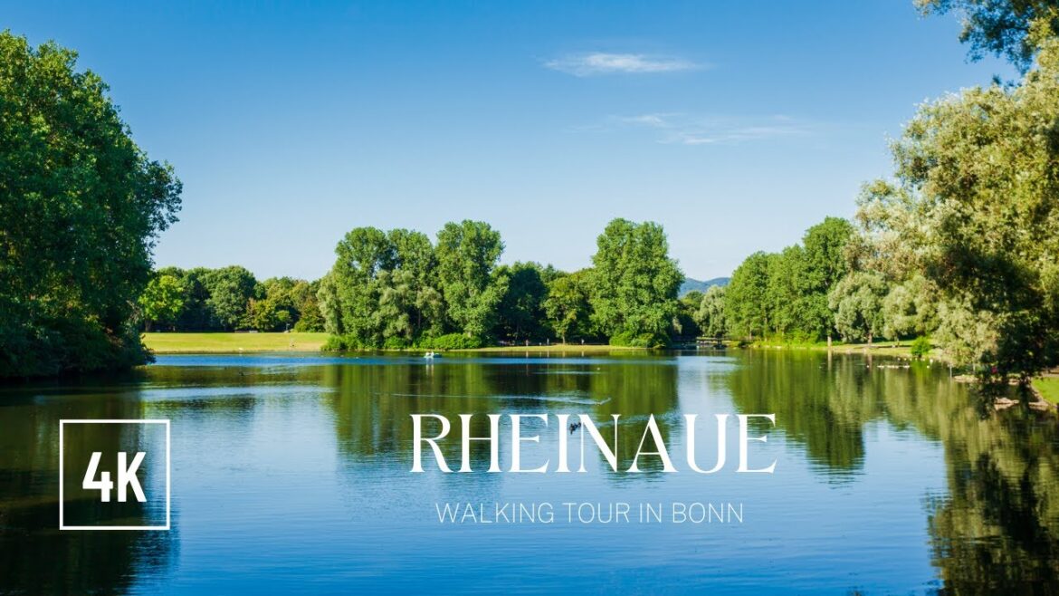 4k A Walk through Paradise: A 4K Walking Tour of Rheinaue in Bonn – Walking tour in Bonn 4k A Walk through Paradise: A 4K Walking Tour of Rheinaue in Bonn - Walking tour in Bonn