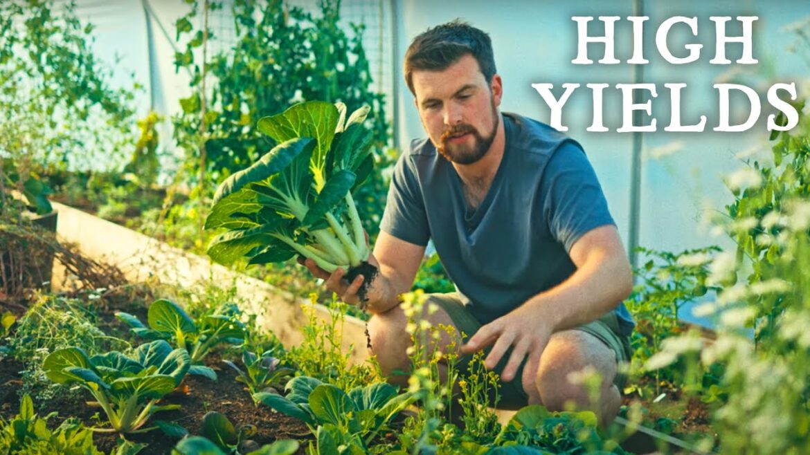 Abundant Small Spaces & Addressing Mulching Concerns | Huw's Garden Diaries