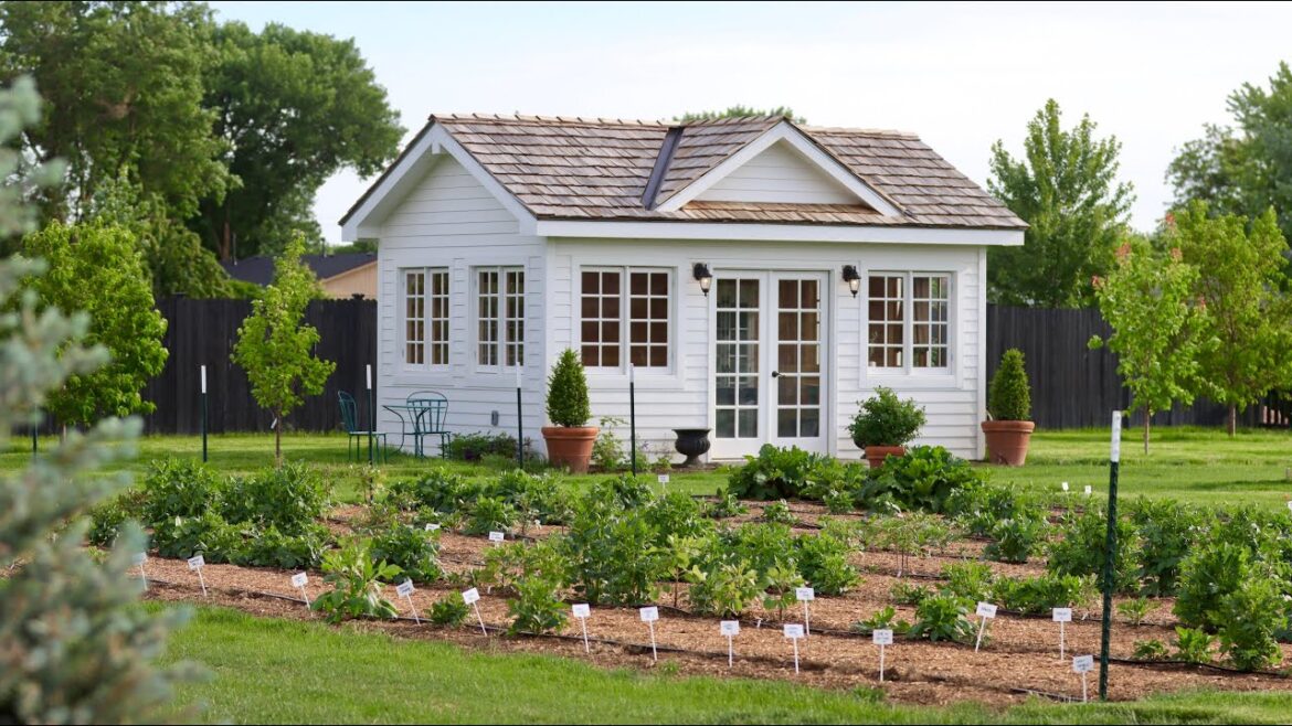 Garden Answer: Results of Overwintering Dahlias in the Ground in Zone 6 + Planting More of Them! 🌸🥰🙌 Results of Overwintering Dahlias in the Ground in Zone 6 + Planting More of Them! 🌸🥰🙌