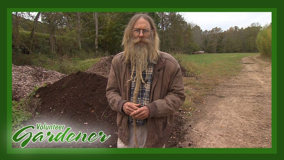 Wood Chips in the Garden | Volunteer Gardener