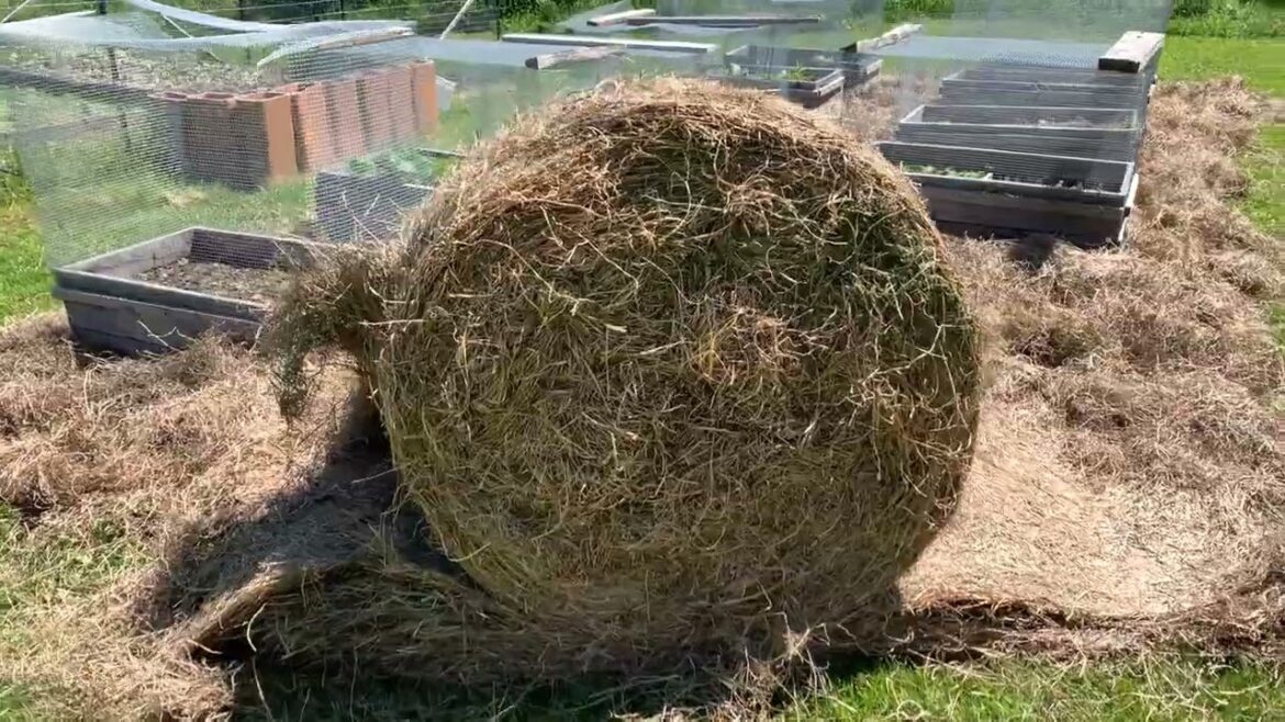 Weed Walkways EASILY... no mow, no plastic, no chemicals!!!