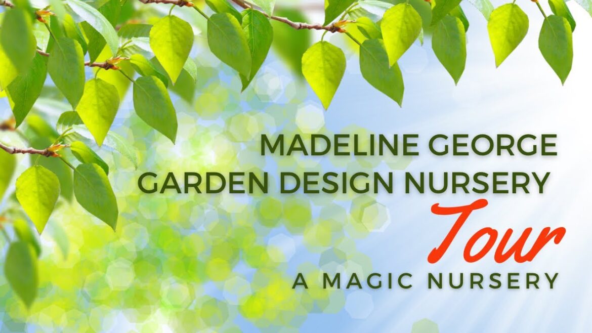 Madeline George Garden Design Nursery #plants #planttour