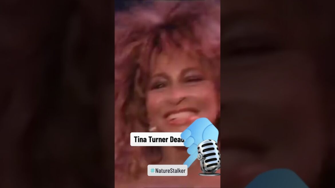 The Biggest Trends In Death We’ve Seen This Year The Biggest Trends In Death We've Seen This Year