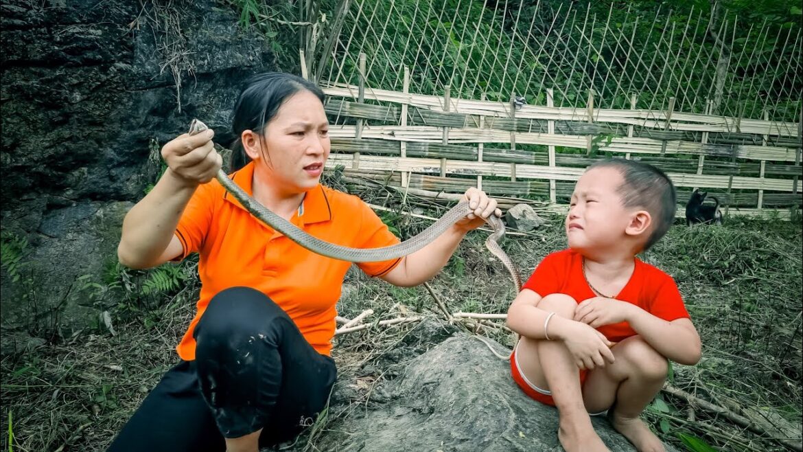 Single Mom - Vegetable Garden Design - Son is bitten by a very dangerous venomous snake