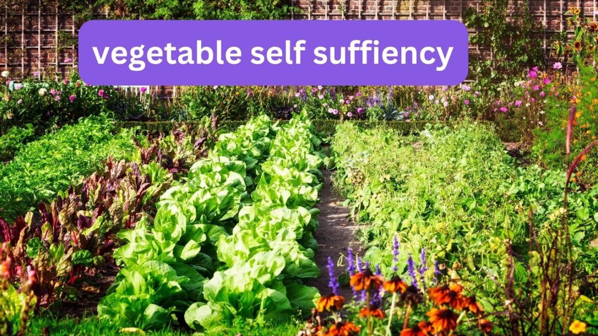 No-Dig Vegetable Gardening For Self-sufficiency.