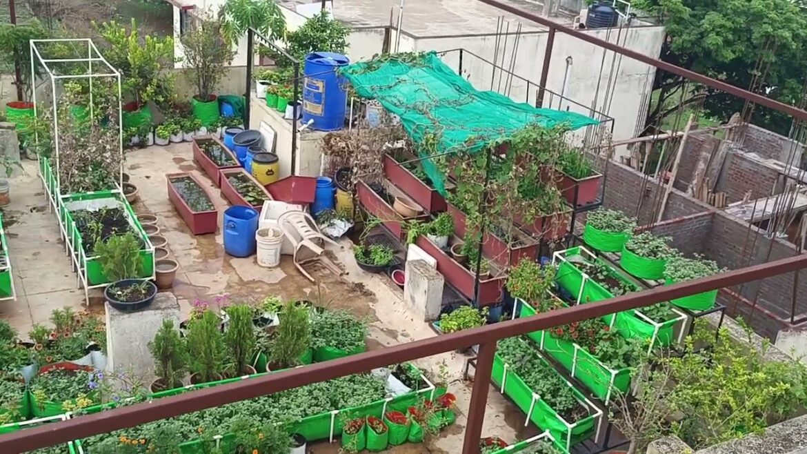 Home Treas Garden wow #shorts #homegarden #home #beautiful #flowers #gardening #ytshorts