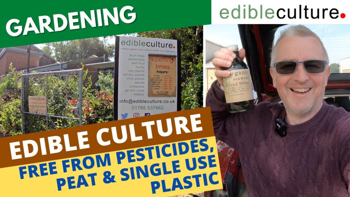 My Trip To Edible Culture – Peat Free, Pesticide Free and Single Use Plastic Free My Trip To Edible Culture - Peat Free, Pesticide Free and Single Use Plastic Free