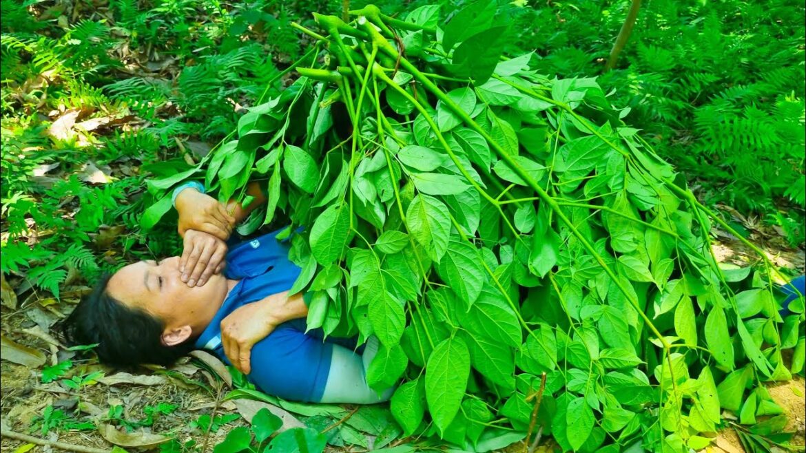 Single Mom - bad guys attack, dangerous in the forest - beautiful vegetable garden design