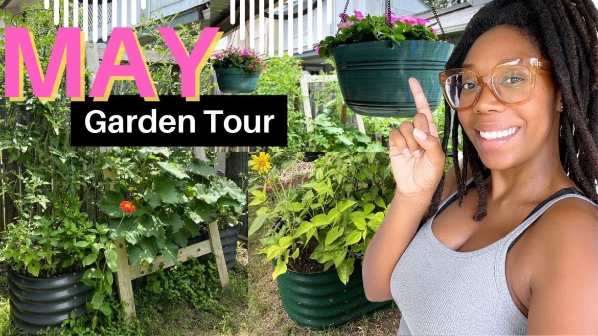 May Garden Tour 2023(MASSIVE GROWTH😲)🍅🥒😃