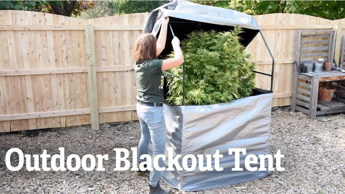 Outdoor Blackout Tent ποΈπ Modern Light-Depriving Cover from Gardener’s Supply Outdoor Blackout Tent ποΈπ Modern Light-Depriving Cover from Gardener's Supply