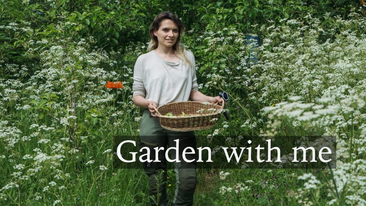 From my Cottage Garden – Flower Tour, Seed Sowing & Greenhouse Tidy From my Cottage Garden - Flower Tour, Seed Sowing & Greenhouse Tidy