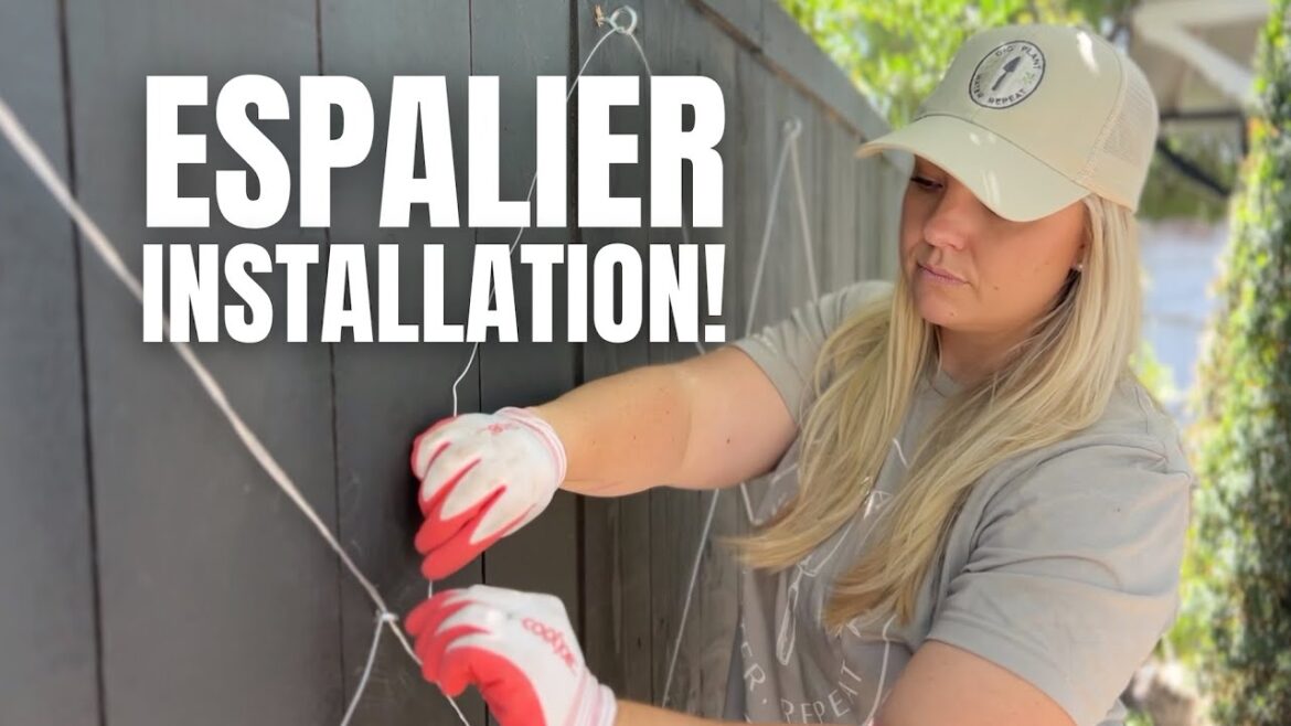 Installing a Honeysuckle Espalier with Robbie from @visitourgarden! :: Small Space Gardening Installing a Honeysuckle Espalier with Robbie from @visitourgarden! :: Small Space Gardening