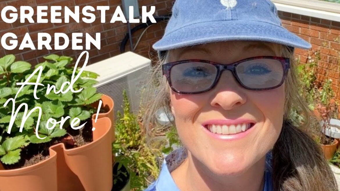 GreenStalk Garden Clean Up Day, Another Kitchen Window Surprise, and More!