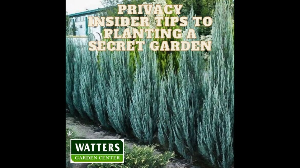 Top 10 How to Garden - Privacy - Insider Tips to Planting a Secret Garden