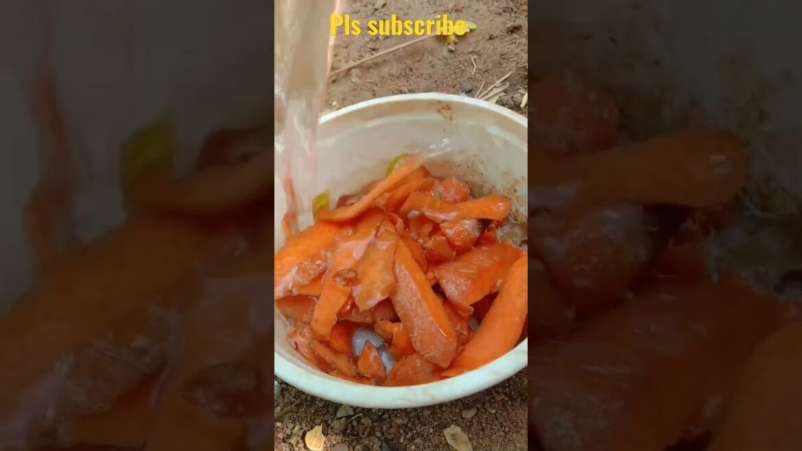 don’t throw😍😍 #shorts #shortsfeed #fertilizer #npk #ytshort #short #gardeningtips #gardener #trend don't throw😍😍 #shorts #shortsfeed #fertilizer #npk #ytshort #short #gardeningtips #gardener #trend