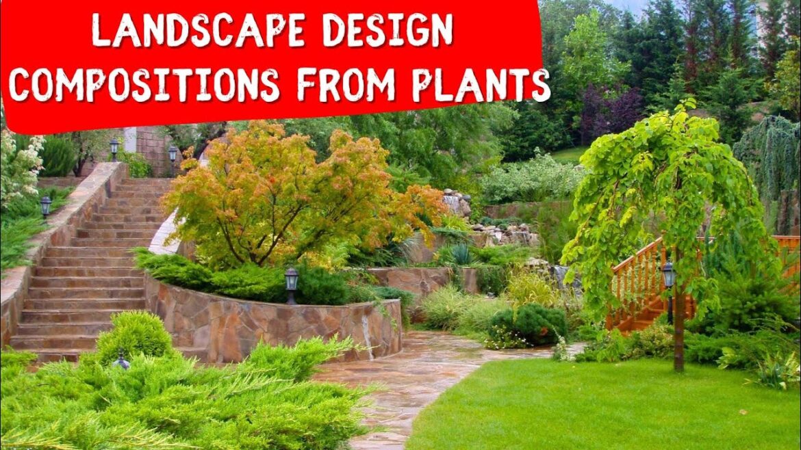 LANDSCAPE DESIGN 🍀 BEAUTIFUL COMPOSITIONS FROM CONIFEROUS AND OTHER PLANTS 🍀 Front yard, back yard