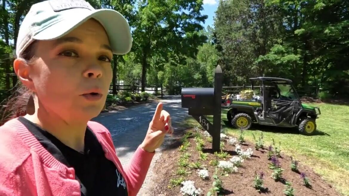 Beautiful Drought-Tolerant, Low-Maintenance Flower Bed | Gardening with Creekside