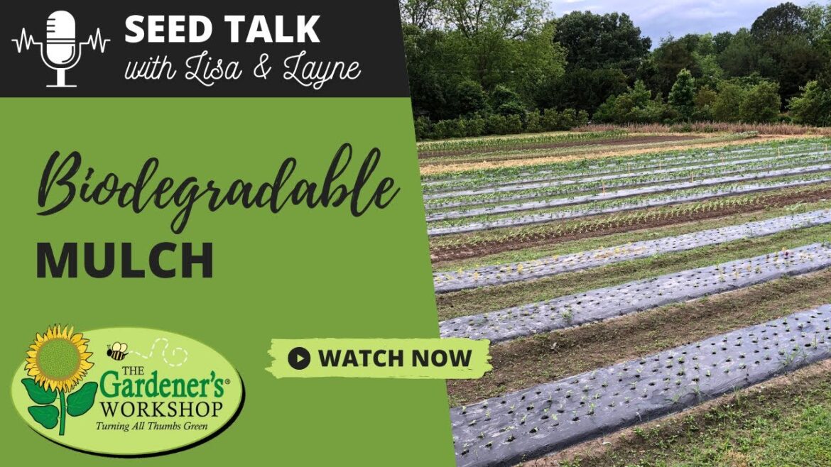 #38 - Biodegradable Mulch