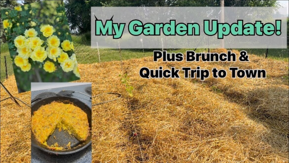 Garden Update - so excited it is planted! And trip to town to street market #vlog #garden