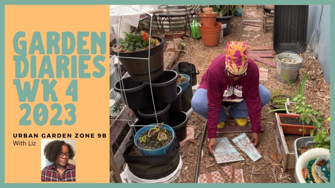 Zone 9B Container Small Space Garden Diaries, Garden Ideas, Garden Tips, Weekly Garden Update June 2 Zone 9B Container Small Space Garden Diaries, Garden Ideas, Garden Tips, Weekly Garden Update June 2