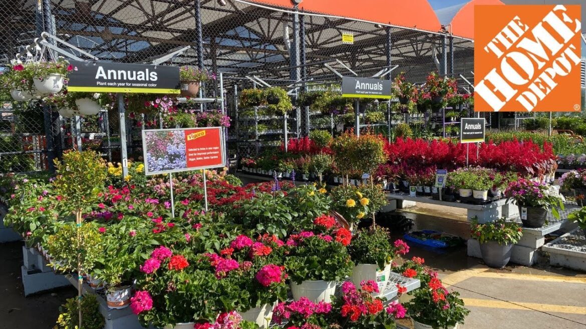 🌹 HOME DEPOT INVENTORY MAY 2023 LOTS OF FLOWERING SHRUBS PROVEN WINNERS PERENNIALS AND ANNUALS 🌹 HOME DEPOT INVENTORY MAY 2023 LOTS OF FLOWERING SHRUBS PROVEN WINNERS PERENNIALS AND ANNUALS