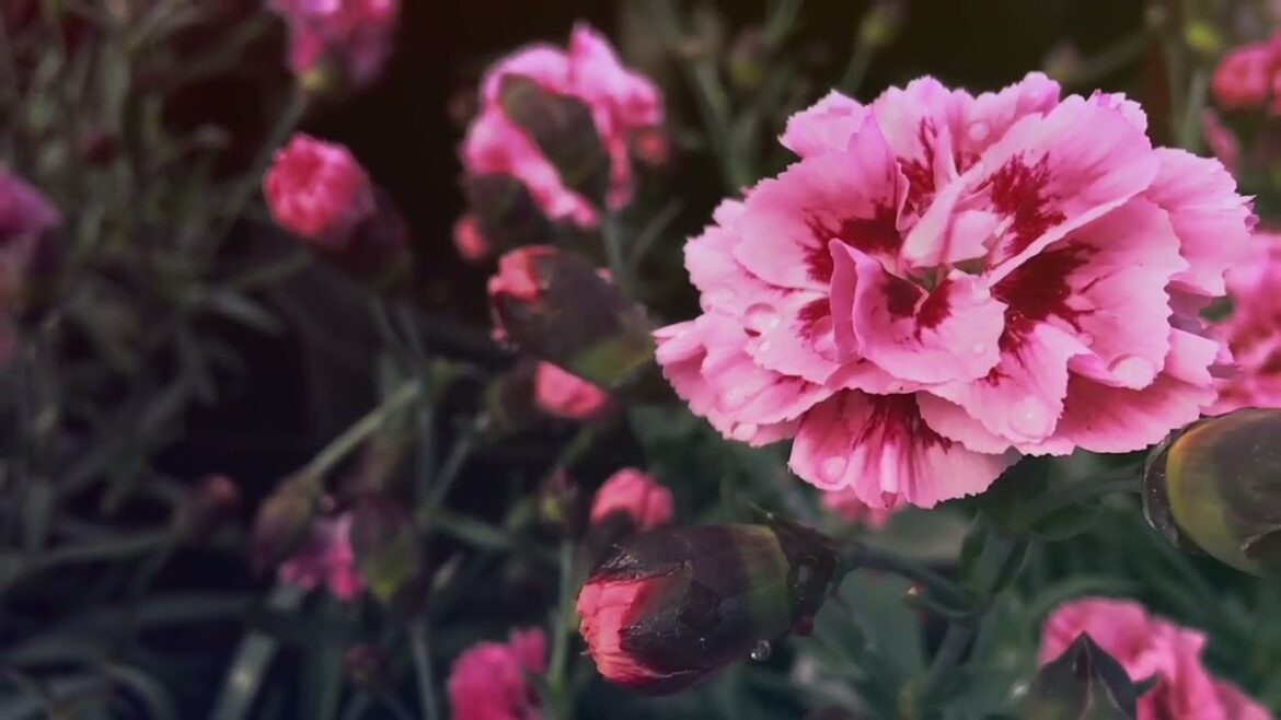 The Most Common Types Of Microgreens And How To Grow Them